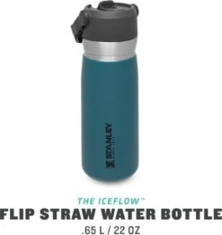 Stanley The IceFlow™ Flip Straw Water Bottle 0,65L - Thermosfles - Saffron -Barbecue Series Winkel 1130x1200 3