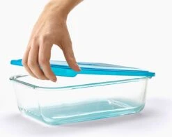 Joseph Joseph Nest Ovenschalen - Incl. Deksels - Glas - 4 Stuks -Barbecue Series Winkel 1200x958