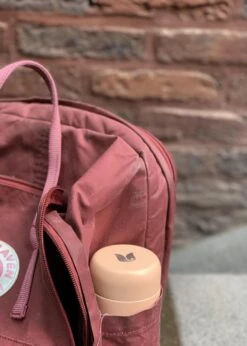 Retulp - Tumbler Thermosbeker – Champagne Pink – 300 Ml - Thermosfles - Roze -Barbecue Series Winkel 856x1200 2