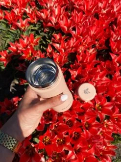 Retulp - Tumbler Thermosbeker – Champagne Pink – 300 Ml - Thermosfles - Roze -Barbecue Series Winkel 899x1200 18